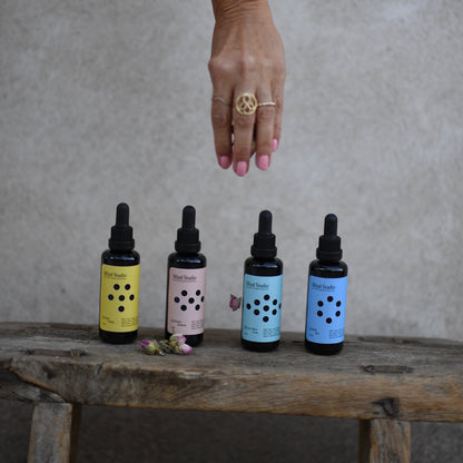 MIND STUDIO LION'S MANE - FOCUS