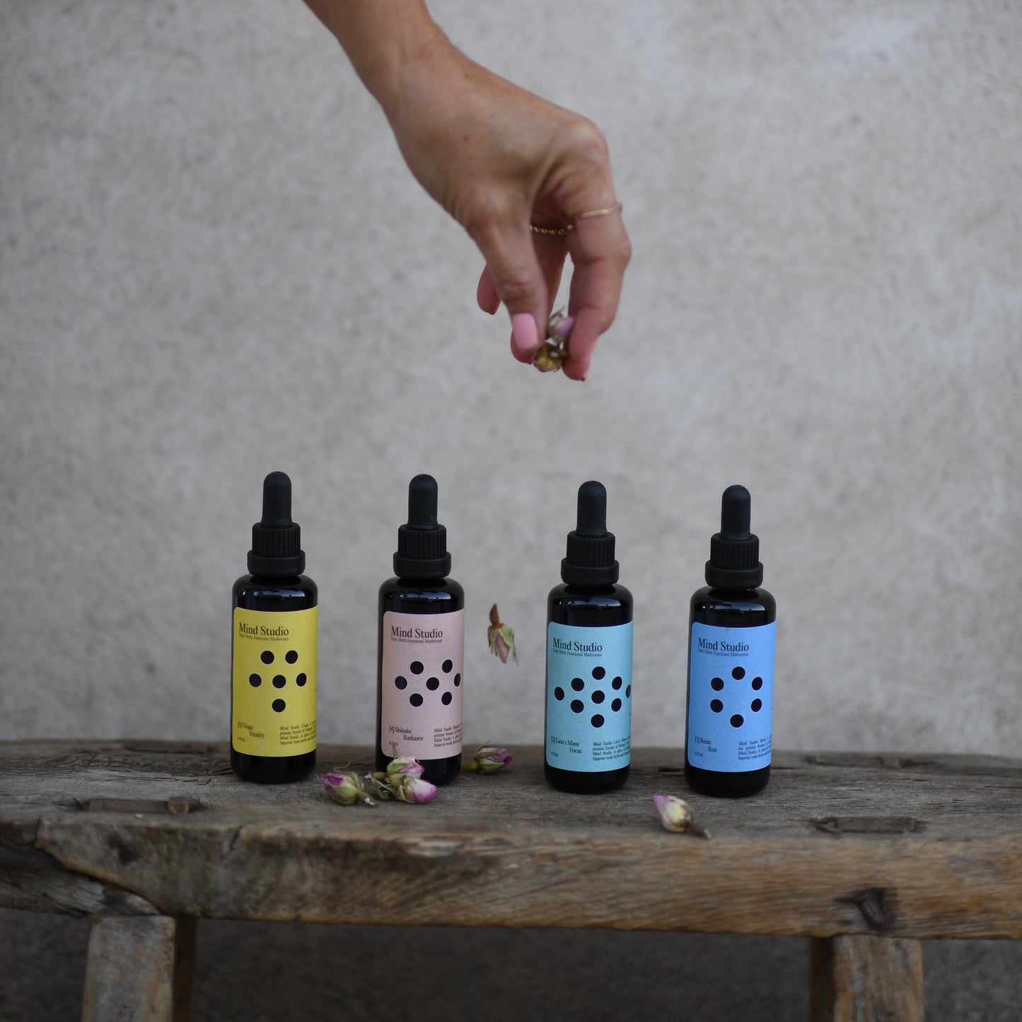 MIND STUDIO CHAGA - VITALITY