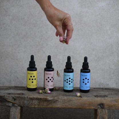 MIND STUDIO CHAGA - VITALITY