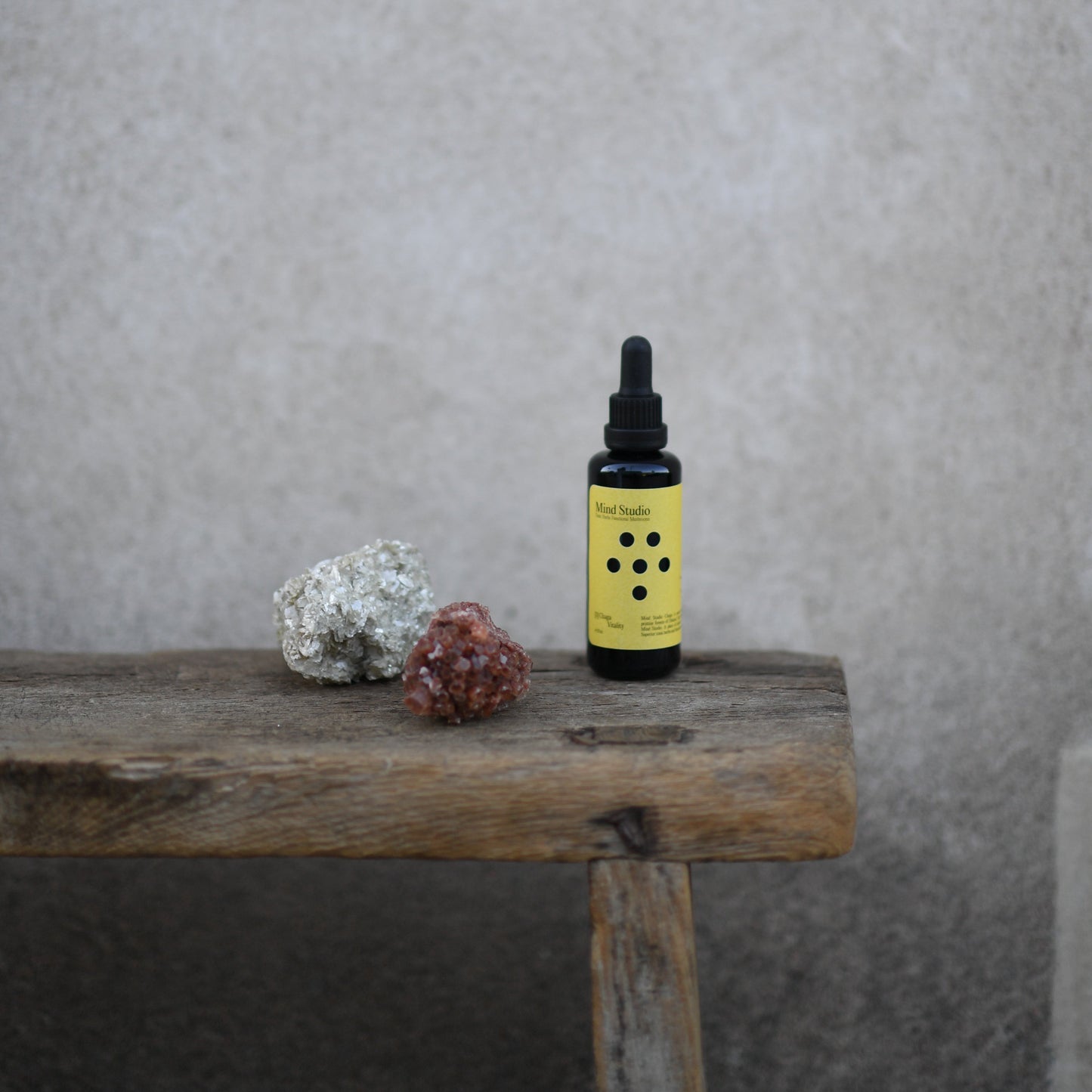 MIND STUDIO CHAGA - VITALITY