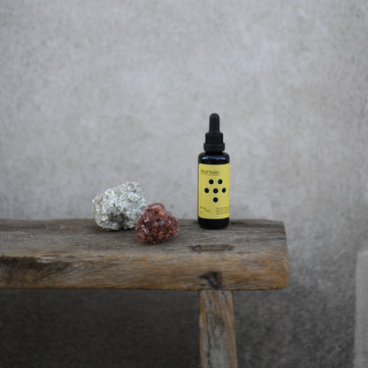 MIND STUDIO CHAGA - VITALITY